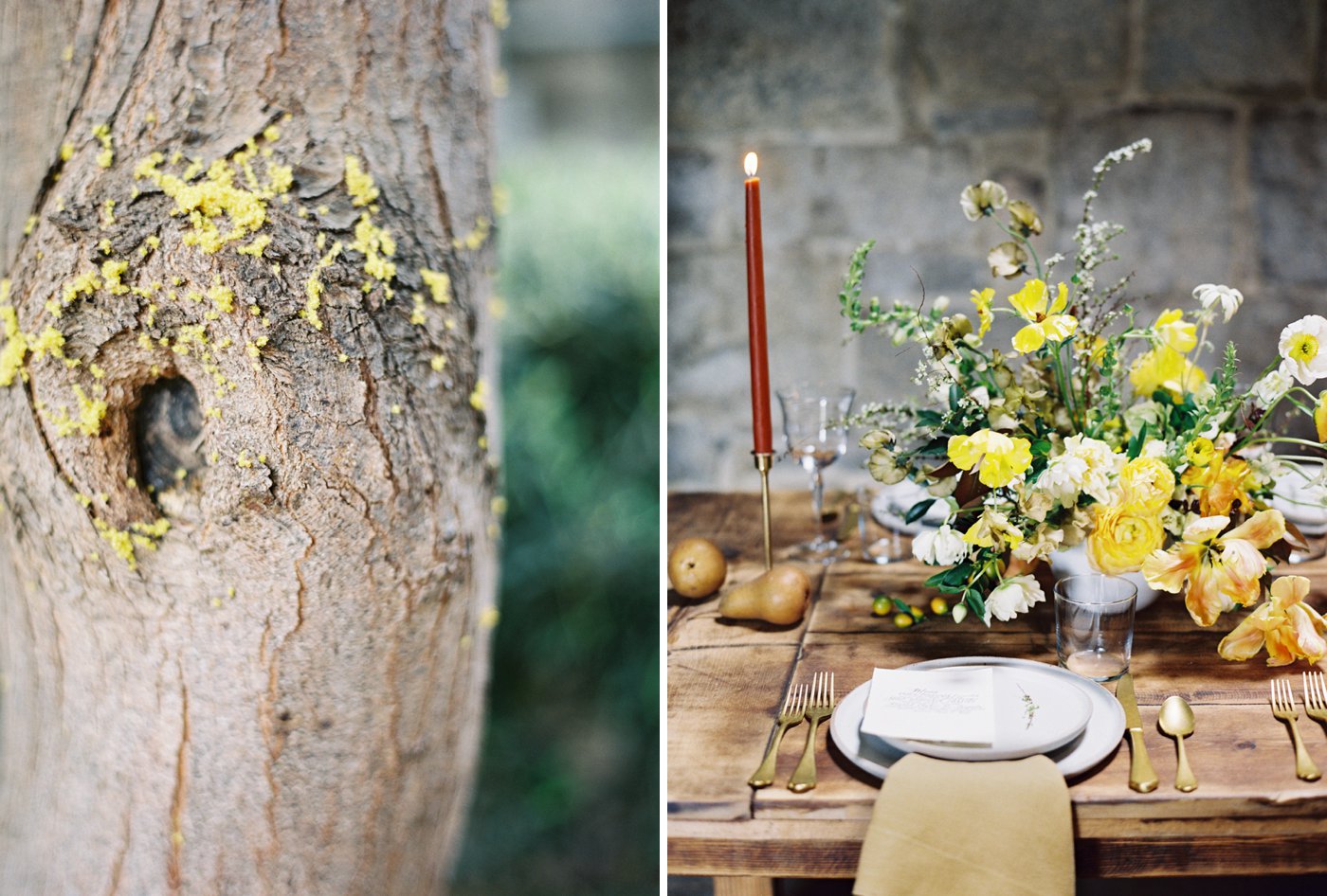 Lynette Boyle Photography | Fine Art Weddings and Portraiture | San Francisco Bay Area, Napa, Sonoma, & Destination