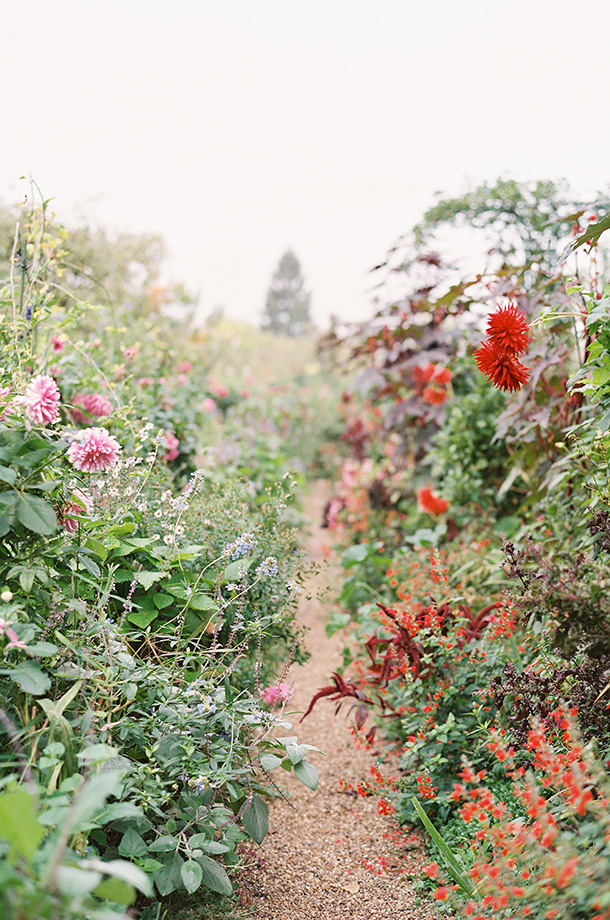 Lynette Boyle Photography | Fine Art Weddings and Portraiture | San Francisco Bay Area, Napa, Sonoma, & Destination