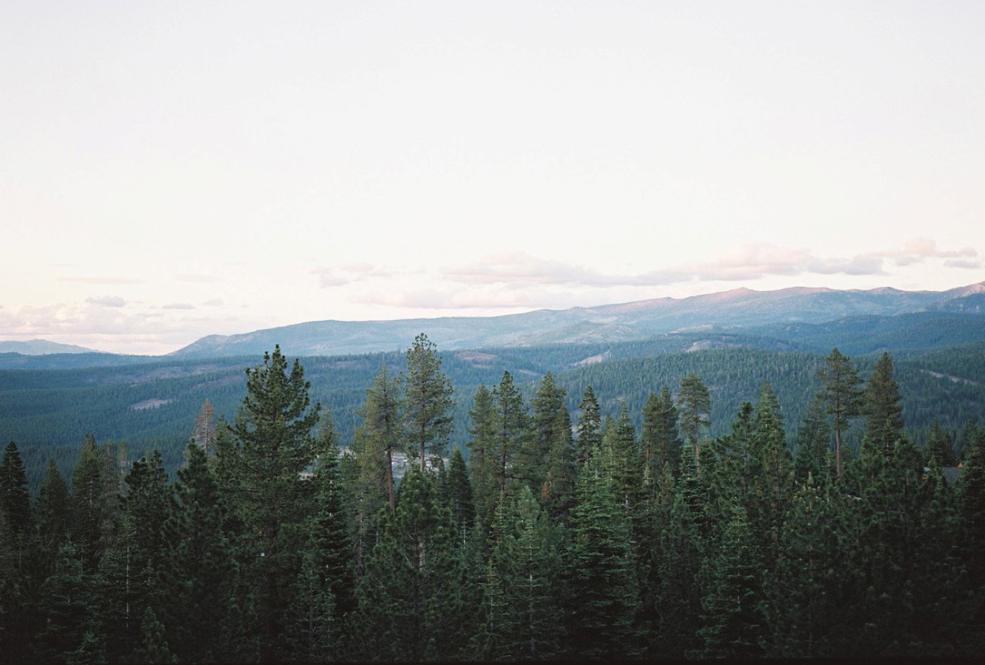 Lynette Boyle Photography | Fine Art Weddings and Portraiture | San Francisco Bay Area, Napa, Sonoma, & Destination