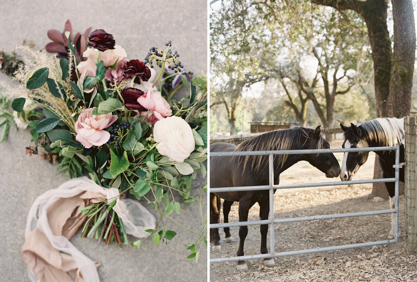 Lynette Boyle Photography | Fine Art Weddings and Portraiture | San Francisco Bay Area, Napa, Sonoma, & Destination