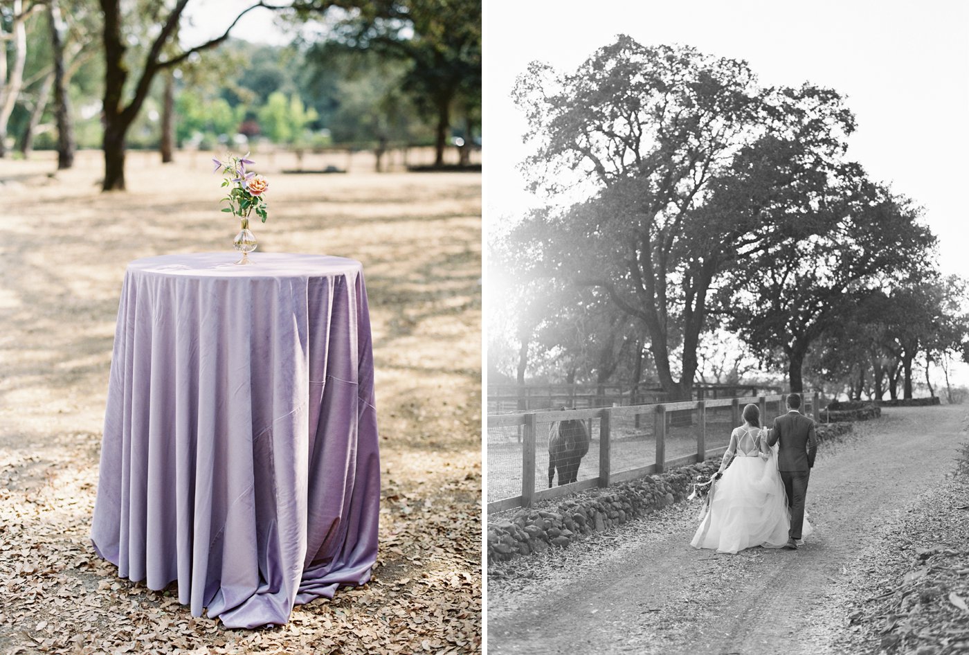 Lynette Boyle Photography | Fine Art Weddings and Portraiture | San Francisco Bay Area, Napa, Sonoma, & Destination