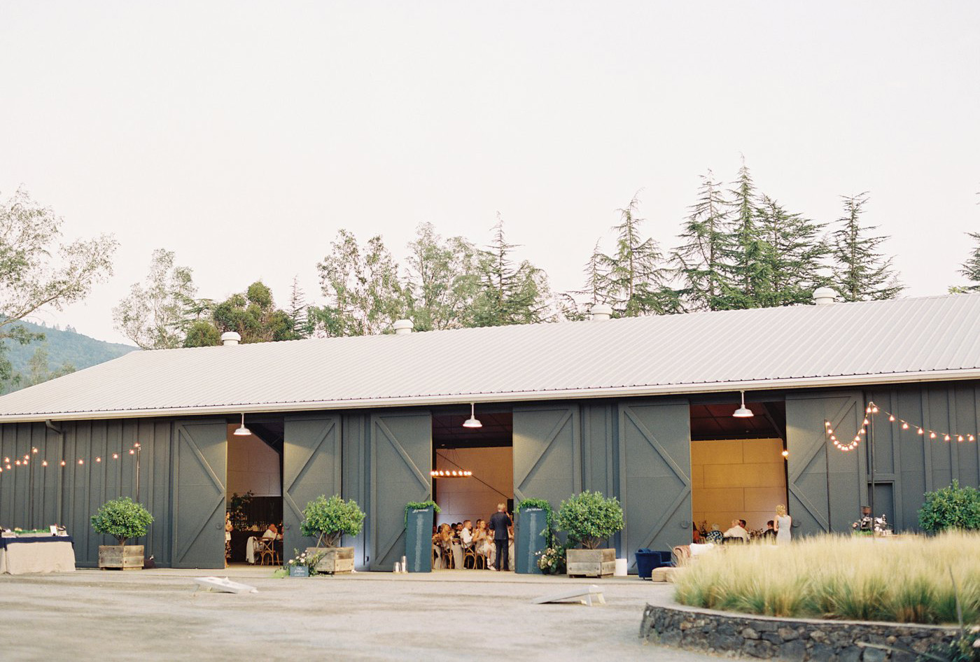 Lynette Boyle Photography | Fine Art Weddings and Portraiture | San Francisco Bay Area, Napa, Sonoma, & Destination