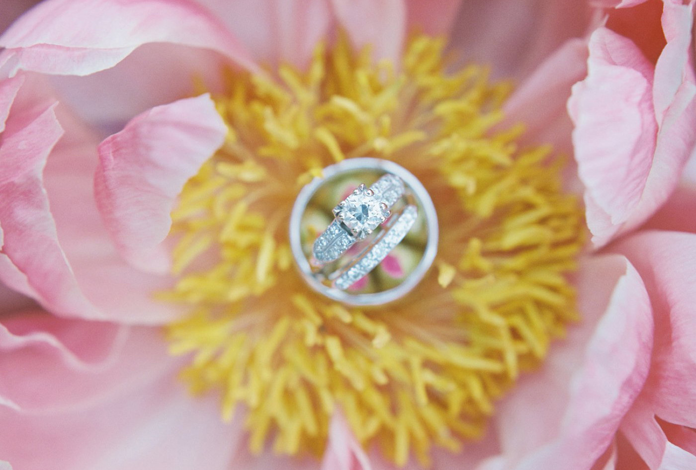 Lynette Boyle Photography | Fine Art Weddings and Portraiture | San Francisco Bay Area, Napa, Sonoma, & Destination